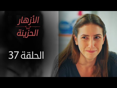 مسلسل الأزهار الحزينة الحلقة 37 الموسم الأول