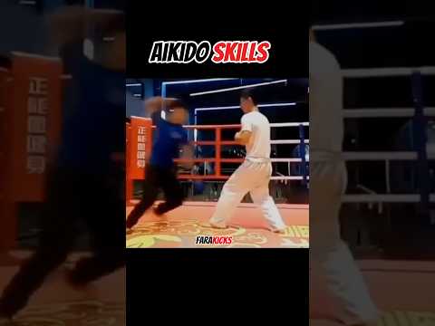Aikido Skills Aikido Mma Martialarts