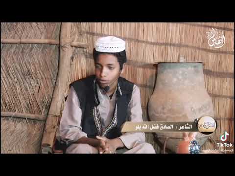 جديد الشاعر الصادق فضل الله روعه