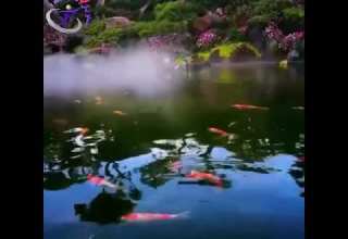 حالات واتس صلوا عليه بلا غايه عليه افضل الصلاه والسلام حاله واتس تحفه