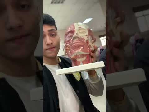 فاصل تكة علي ال ٥٠ الف مشترك اعملوا اشتراك هااانت Fyp Motivation Trending Viral