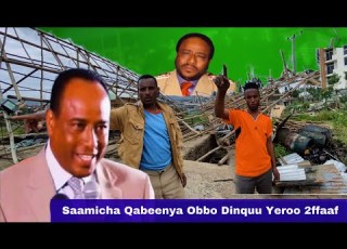 Saamicha Yeroo Lammaffaaf Qabeenya Obbo Dinquu Dayyaas Saaman