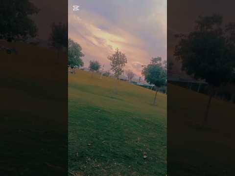 Umm Al Seneem Park Qatar And Beautiful Weather