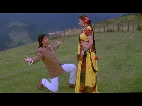 Dekha Tujhe Toh Hogayi Deewani Shahrukh Khan Madhuri Dixit Kumar Sanu Alka Yagnik Koyla