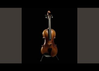 Violin And Silent Snow