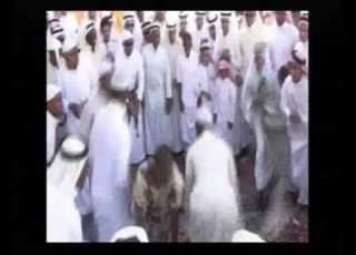  رديح عيال السيح معايدة حارة العماري الأولى 1430هـ