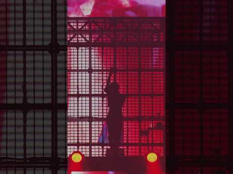 Unravel 武道館ライブ映像公開しました