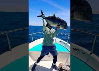  Return It To The Sea A Good Size For Nile Perch Topwaterfishing