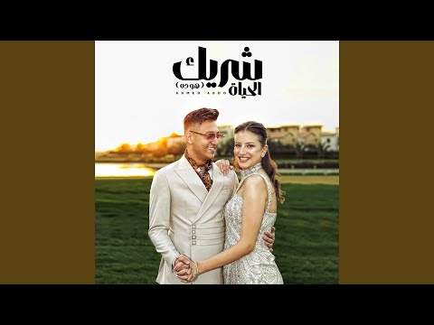 شريك الحياة هو ده