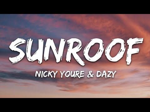 Nicky Youre Dazy Sunroof Lyrics