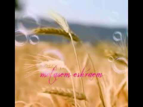 عبري مترجم اتا زلزلتا معتصم اشريم