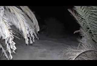 وادي الـجـن ــ الـجـزء الـثـانـي