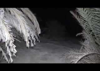 وادي الـجـن ــ الـجـزء الـثـانـي