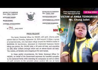  Mezam SDO Press Release Update From Bamenda After Amba Terrorist Explosive Attack On Civilians