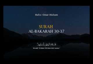 Surah Al Baqarah 30 37