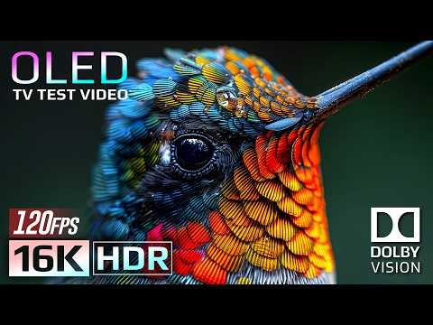 Experience 16K HDR Dolby Vision 120fps Breathtaking Nature OLED Demo For 8K 4K TV