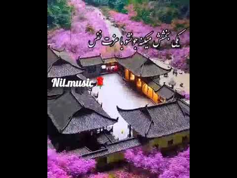 اکبرگلپایگانی اکبرگلپایگانی