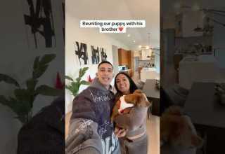 This Was So Wholesome Viral Couple Parati