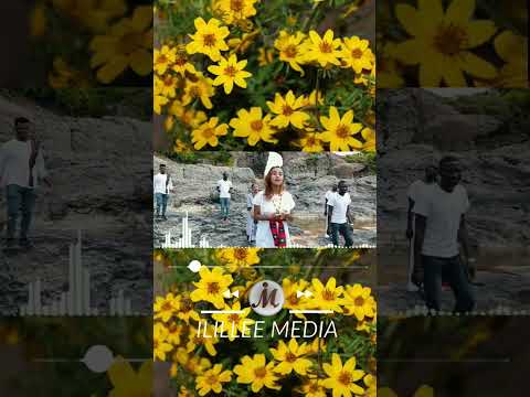 Faarfannaa Ilillee Media Faarfannaa Afaan Oromoo Gospelsongs Bara Haaraa