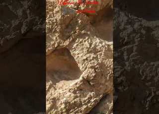  تک سنگهایی جاساز دارند که جوغن یا کنده کاری یا علامت تثبیتی بهشون مشخص باشه