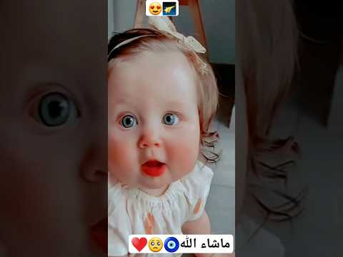 حبيبى داس على قلبى تك