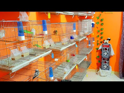 غرفة الإنتاج ماشاء الله