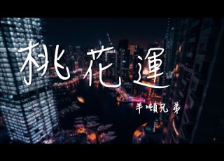 桃花運 半噸兄弟 我會擁你在我懷抱 看著你的笑 高音质 動態歌詞Lyrics 抖音热曲