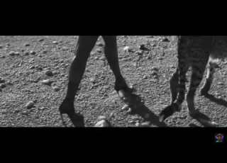  DRAKE FT MICHAEL JACKSON IT DONT MATTER TO ME OFFICIAL MUSIC VIDEO