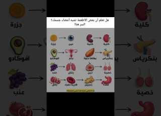 غير عقليتك وعاداتك وستتغير حياتك بالكامل تطوير الذات تحدي علم النفس Selfimprovement