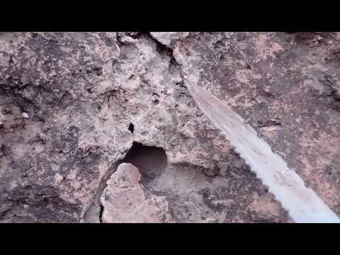 Malik The Expert In Interpreting Signs And Symbols Professor Abu Al Jarar