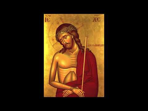 ها هوذا الختن