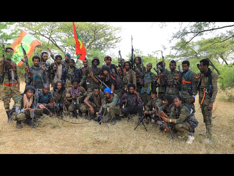 Jaal Michuu Dhugaa Finfinnetti Wal Argaani Sirba WBO Haaraa 2023 Jaal Michuu Dhugaa Finfinnetti Wal Argaani Sirba WBO Haaraa 2023