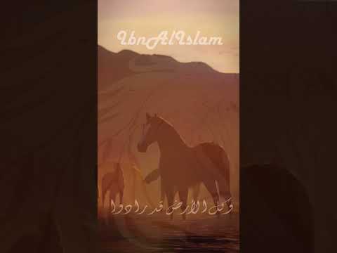 بدين الله أجدادي أحمد المقيط