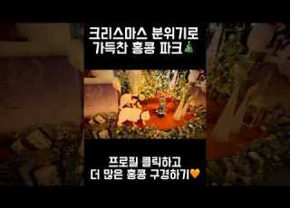 크리스마스 분위기로 가득찬 홍콩파크