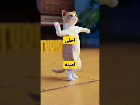 اهلا بك احلى امينه