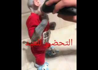 Tahdir L3id