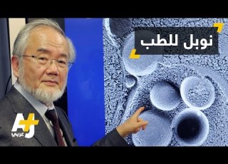  عالم ياباني يفوز بجائزة نوبل في مجال الطب