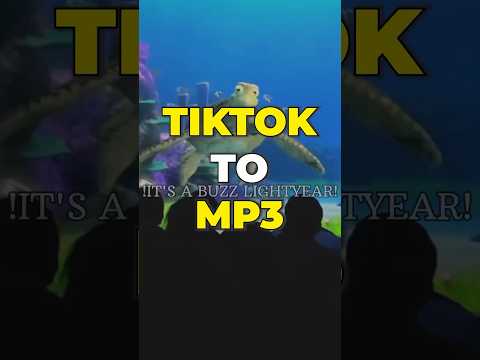 TikTok To MP3 Flixier