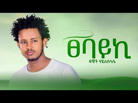 Dawit Haileslasie Tsebayki ዳዊት ሃይለስላሴ ፀባይኪ New Tigrigna Music 2025