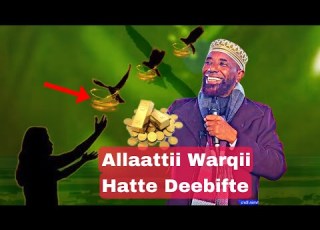Allaattii Shamara Jalaa Dahaba Warqii Hatte Beeytuu Sheik Amin Ibro