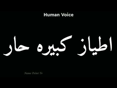 How To Pronounce اطياز كبيره حار Pronunciation اطياز كبيره حار How To Say اطياز كبيره حار