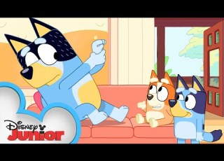  Bluey And Bingo Play With Shaun Bluey Disney Junior