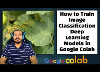  How To Train Deep Learning Models In Google Colab Must For Everyone