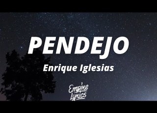  Enrique Iglesias PENDEJO Letra Lyrics