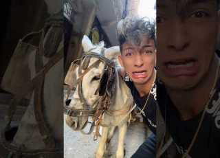 معاكي انتي ببقى حمو اوشافتله