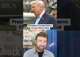  President Trump Learns Chuck Norris Died Shorts