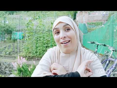 من حيدت هادشي وانا مرتاحة نفسيا يلفاتك هاد الفيديو رآه ضيعتي فرصة تلات اشياء تجنبيها من حيدت هادشي وانا مرتاحة نفسيا يلفاتك هاد الفيديو رآه ضيعتي فرصة تلات اشياء تجنبيها