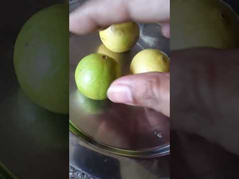 Buy Light Green Fresh Juicy Lemon Not Yellow Viral Limbu