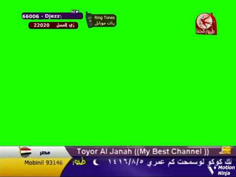 طيور الجنة شاشة مباشر أخضر