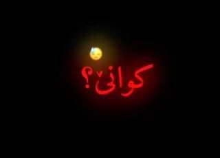  ئەو گوڵەی مەشهوری گشت عالەم بو کوانێ تێکستی ڕەش بێ ماف